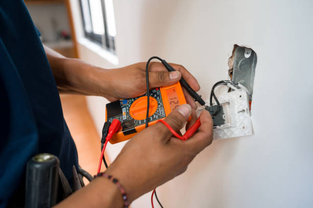 Best Electric Panel Repair  in Canadian, TX
