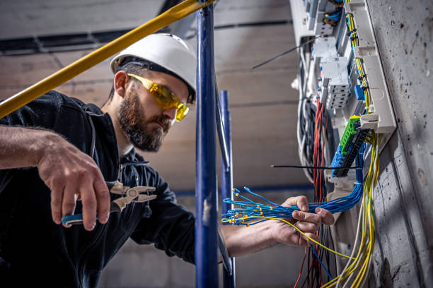 Best Electrical System Inspection  in Canadian, TX
